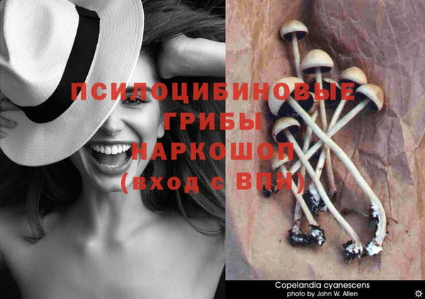 спиды Белоозёрский