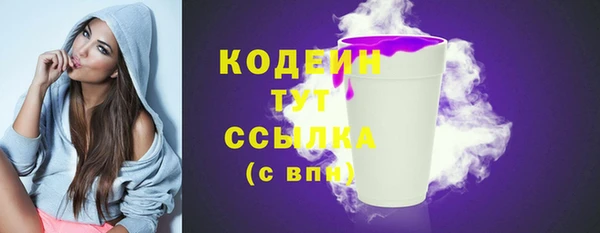 шишки Белокуриха